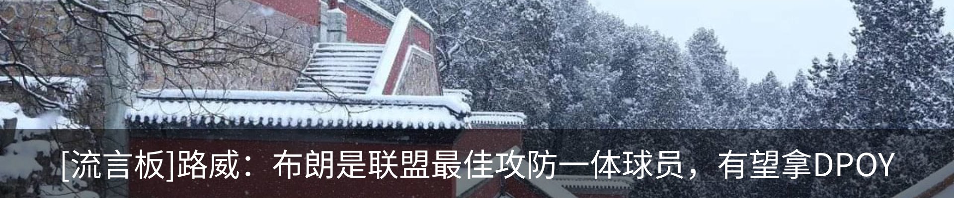 最新动态